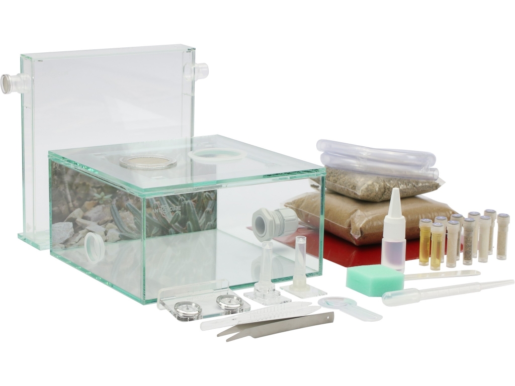 ANTCUBE Starter Set L - 20x20 - Wüste
